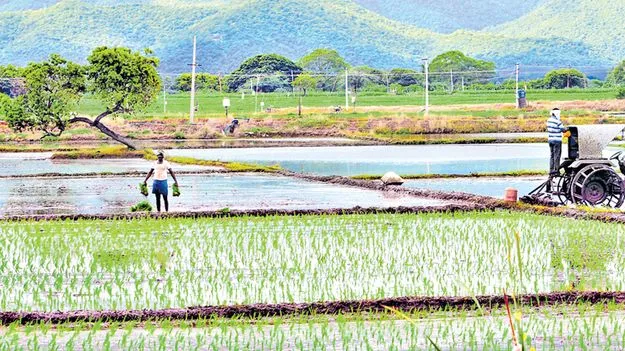 Pending Saadabainama Applications: సాదాబైనామాకు సాంకేతిక అడ్డంకులు