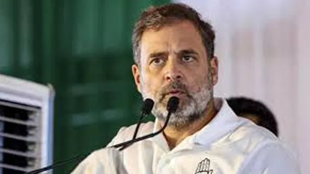 Rahul Gandhi: బిహార్‌ ఓటమికి నేనూ బాధ్యుడినే