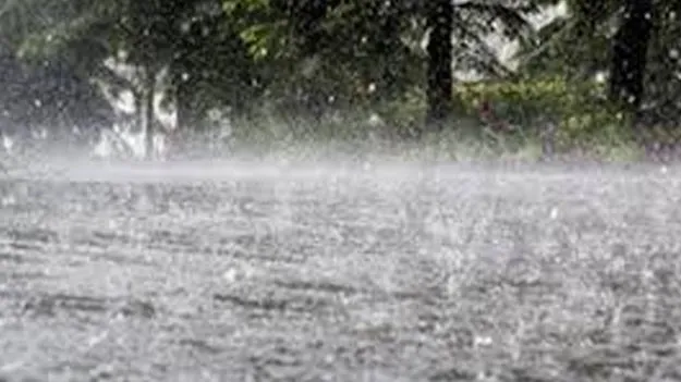 Heavy Rain Forecast: చలి గుప్పిట్లో ఆదిలాబాద్‌, కుమరం భీం జిల్లాలు