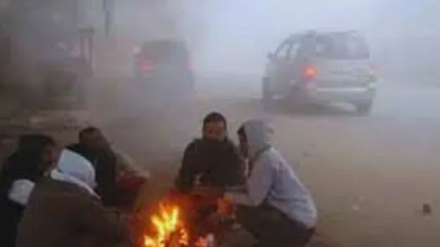 Severe Cold Grips Telangana: పంజా విసురుతున్న చలిపులి