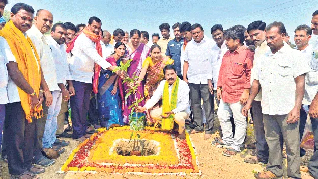 మొక్కలే జీవనాధారం