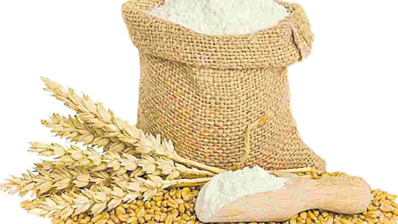 Wheat Flour: రూ.20కే కిలోగోధుమపిండి 