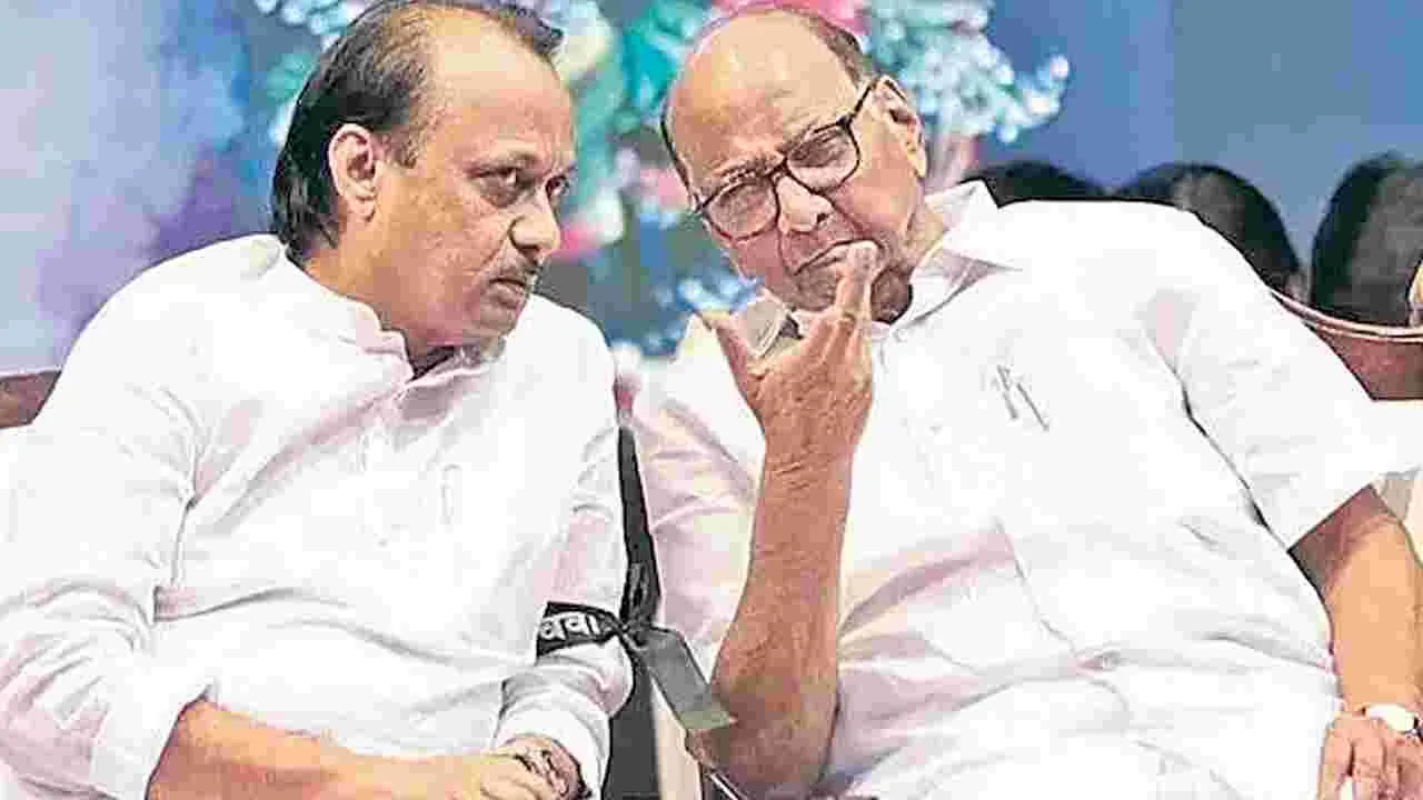 Sharad Pawar: ఠాక్రేల బాటలో పవార్‌లు!