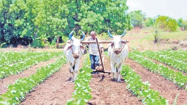 AP to Set Up Agricultural Equipment Bank: సాగు పరికరాల బ్యాంక్‌