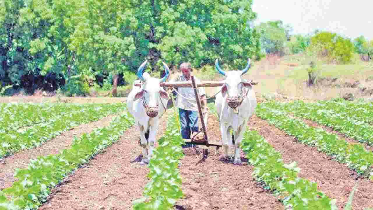 AP to Set Up Agricultural Equipment Bank: సాగు పరికరాల బ్యాంక్‌