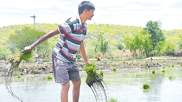 Agriculture Thrives with Record Growth: రైతన్నా.. ముందుకు సాగు