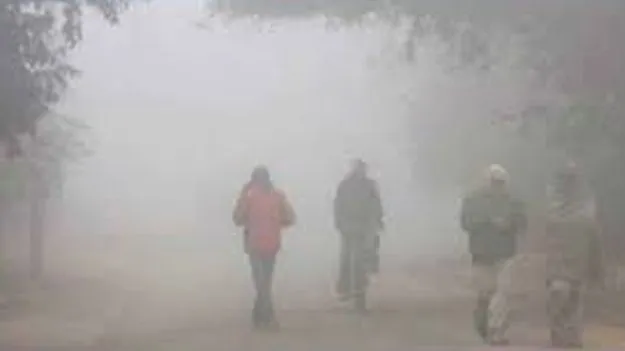 Biting Cold in Telangana: వణికిస్తున్న చలి.. గిన్నెధరిలో 6.1 డిగ్రీలు