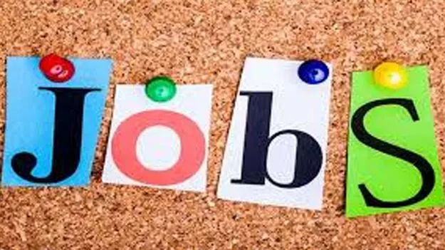 Job Openings: సీబీఎస్‌ఈలో ఉద్యోగాలు