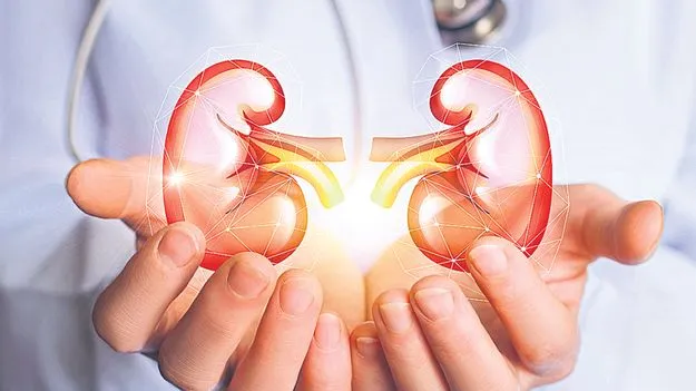 Organ Donation: 4000 కిడ్నీలు కావాలి!
