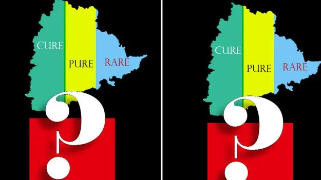 Cure Pure Rare policy: క్యూర్‌.. ప్యూర్‌.. రేర్‌ సమగ్రాభివృద్ధికేనా?