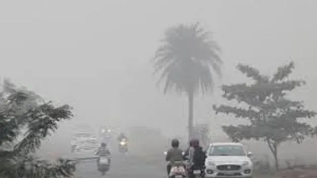 Bone Chilling Cold Grips: వణికిస్తున్న చలి