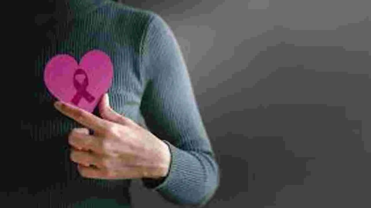 Breast Cancer Risk: రొమ్ము క్యాన్సర్‌కు నాన్‌వెజ్‌, నిద్రలేమే ప్రధాన కారణాలు