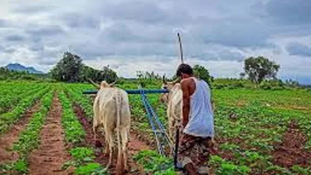 Sadabainama Regularization Progress Disappointing: సాదాబైనామాలకు సుస్తీ