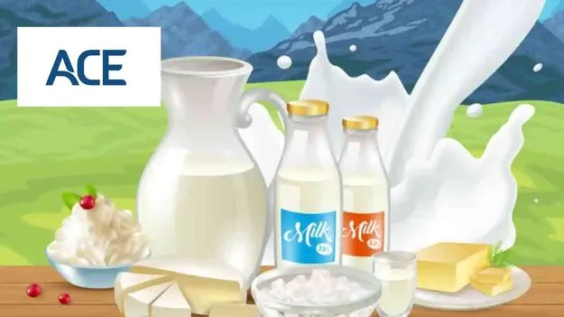 Ace International Dairy Plant: కుప్పంలో రూ 305 కోట్లతో డెయిరీ ప్లాంట్‌