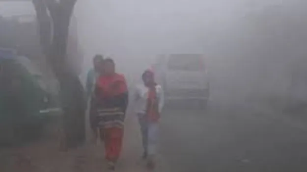 Severe Cold: కొనసాగుతున్న చలి తీవ్రత