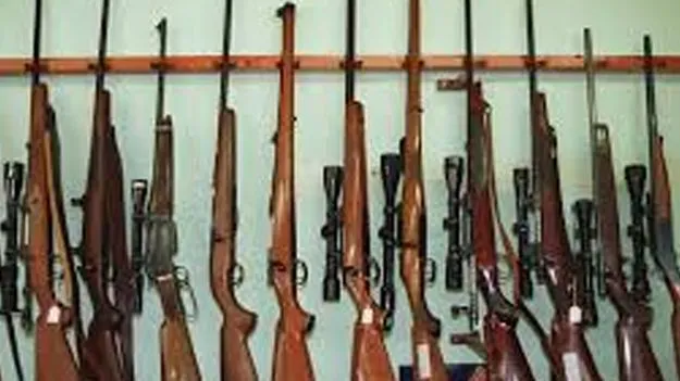 Gun Culture Widespread : సిడ్నీ శివార్లలో తుపాకీ రాజ్యం!