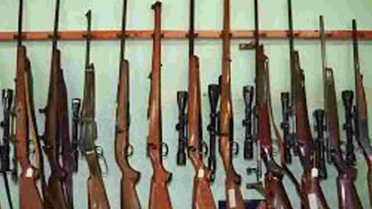 Gun Culture Widespread : సిడ్నీ శివార్లలో తుపాకీ రాజ్యం!