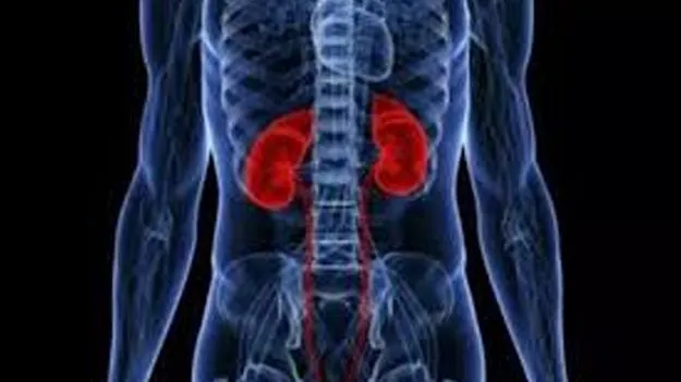 Kidney Disease: ఉద్దానంపై రంగంలోకి ఐసీఎంఆర్‌