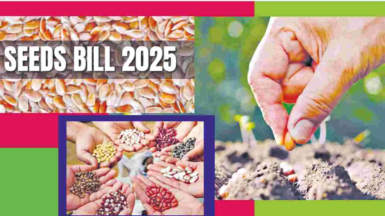 New Seed Bill: ఆ చట్టం...వ్యవసాయానికి ఉరితాడు