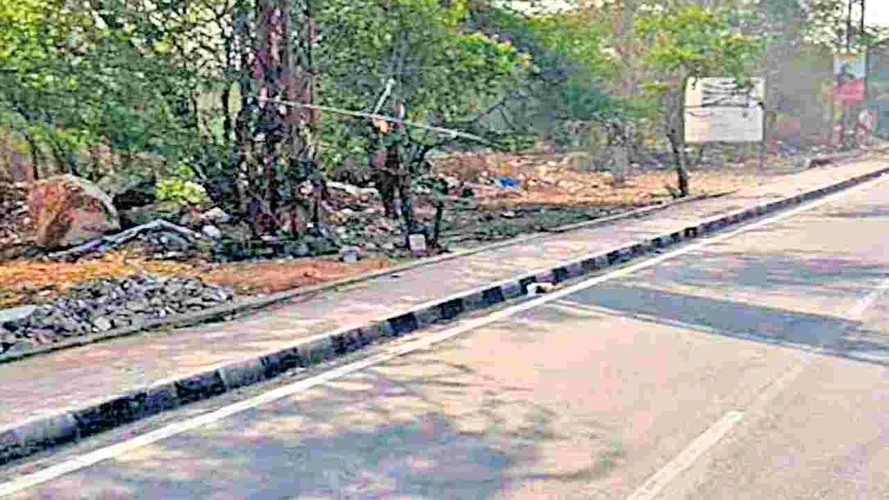 Government Forest Land: 102 ఎకరాలు అటవీ శాఖవే!