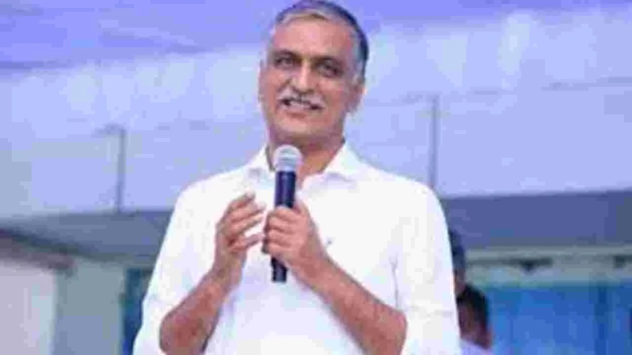 Former minister Harish Rao: కేసీఆర్‌ దీక్ష వల్లే తెలంగాణ కల సాకారం