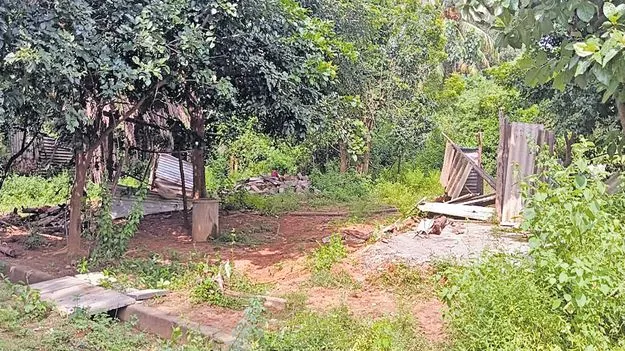 Elections in a Ghost Village: జనంలేని ఊర్లో ఎన్నికల హోరు