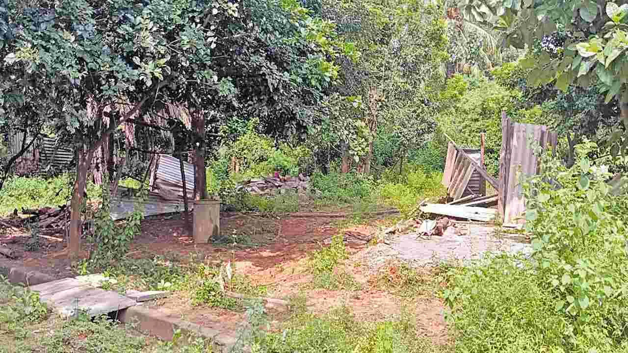 Elections in a Ghost Village: జనంలేని ఊర్లో ఎన్నికల హోరు