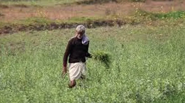 Double Benefit for Farmers: అన్నదాతకు డబుల్‌ ధమాకా