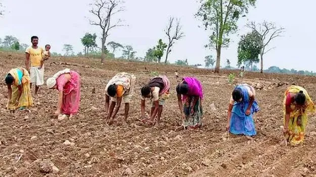 Telangana Agriculture: శాస్త్రీయత లేని శాస్త్రవేత్త ఆరోపణ
