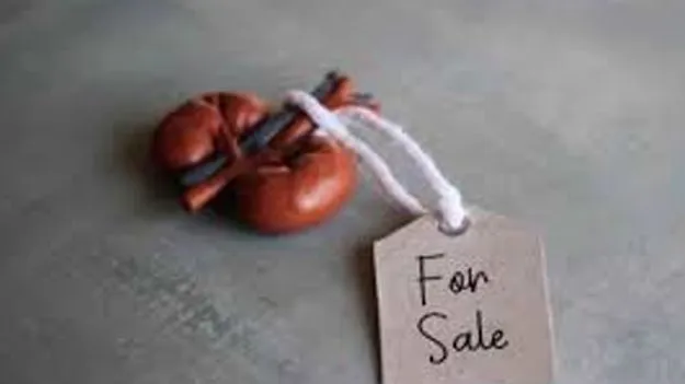 International Kidney Trafficking: అంతర్జాతీయ కిడ్నీ రాకెట్‌ గుట్టు రట్టు 