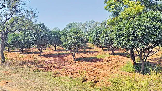 Land Dispute: వివాదంలో50 కోట్ల అసైన్డ్‌ భూమి