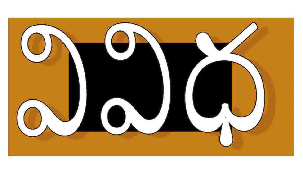 Vividha : ఈ వారం వివిధ కార్యక్రమాలు 24 11 2025