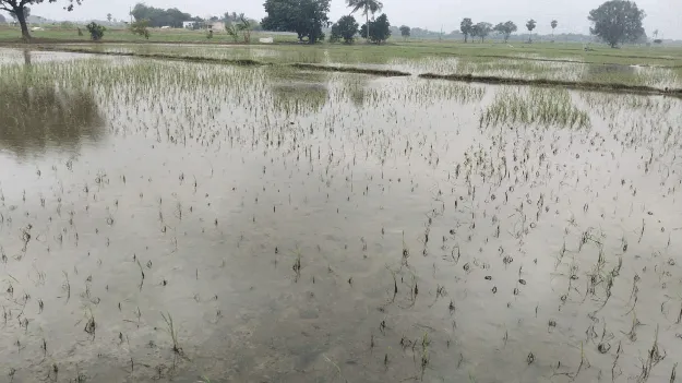 తప్పిన దిత్వా ముప్పు!