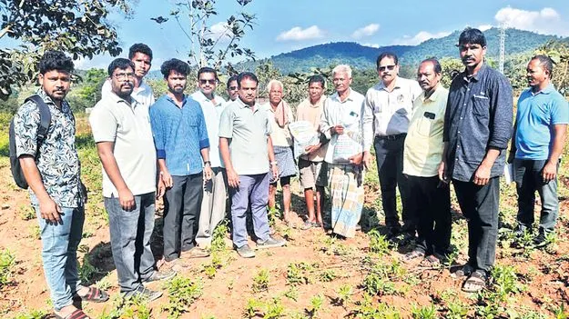 రబీలో అపరాలు, వేరుశెనగ సాగుకు ప్రణాళిక