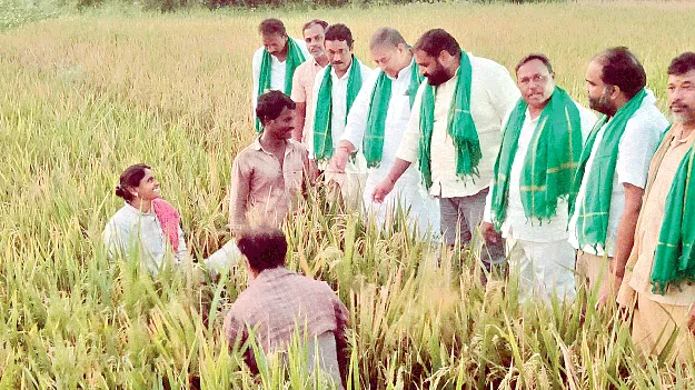 రైతులకు మేలు జరిగేలా పాలన: కిమిడి