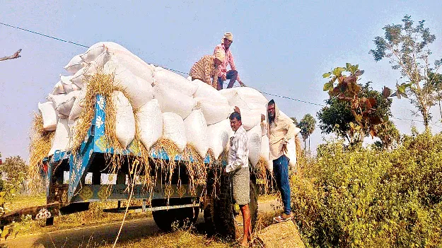 2.20 లక్షల మెట్రిక్‌ టన్నుల ధాన్యం సేకరణ 