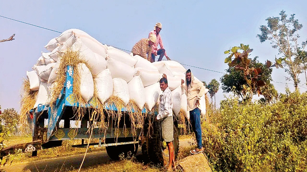 2.20 లక్షల మెట్రిక్‌ టన్నుల ధాన్యం సేకరణ