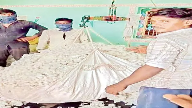 మహా మోసం