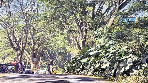 స్వల్పంగా పెరిగిన ఉష్ణోగ్రతలు 