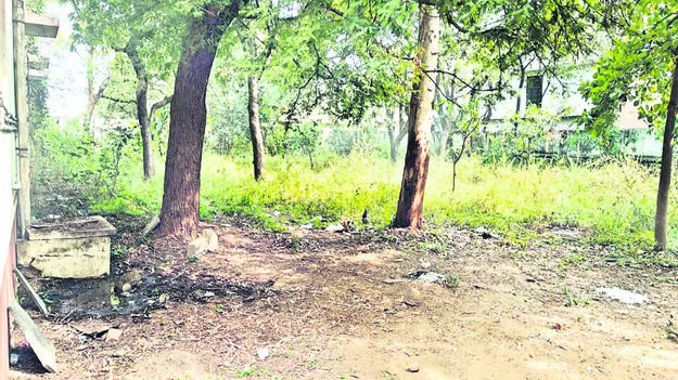 PURITY: స్వచ్ఛత ఎక్కడ..?