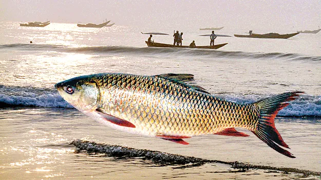 సువిశాల తీరం.. ఏదీ ప్రయోజనం?