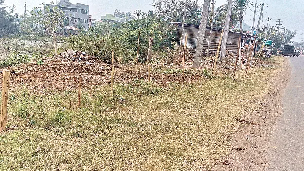 అడిగేవారు లేరని..