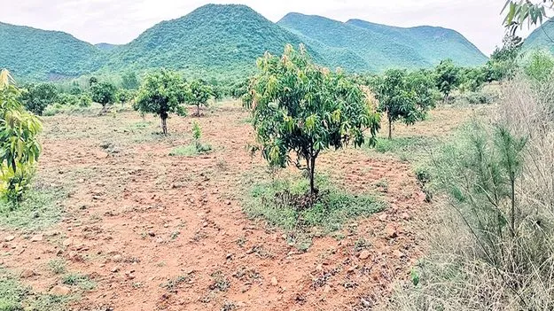 ఎకరాకు రూ.9 లక్షలు?