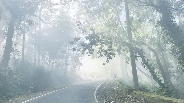 మన్యం గజగజ