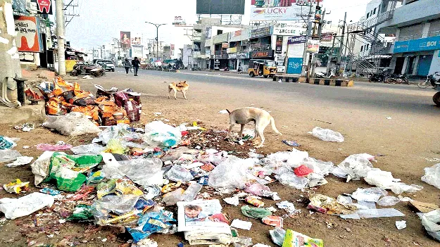 ఇలాచేస్తే.. ప్లాస్టిక్‌ నిర్మూలన సాధ్యమే