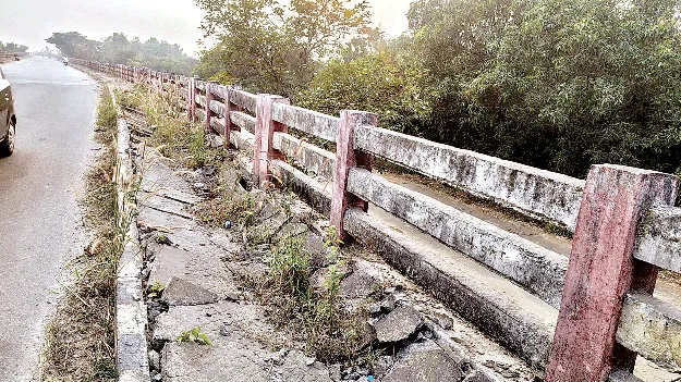 ప్రమాదపుటంచున..