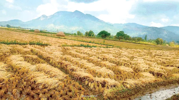  మళ్లీ వాన గండం