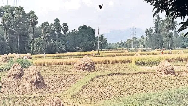 రైతుల్లో గుబులు