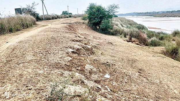 వంశధార కరకట్టలపై నిర్లక్ష్యం