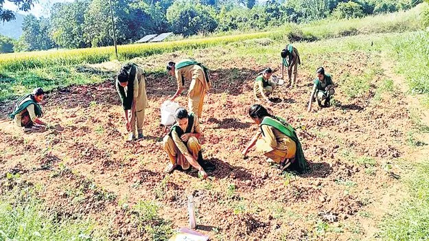విద్యా బోధనలో బెస్ట్‌